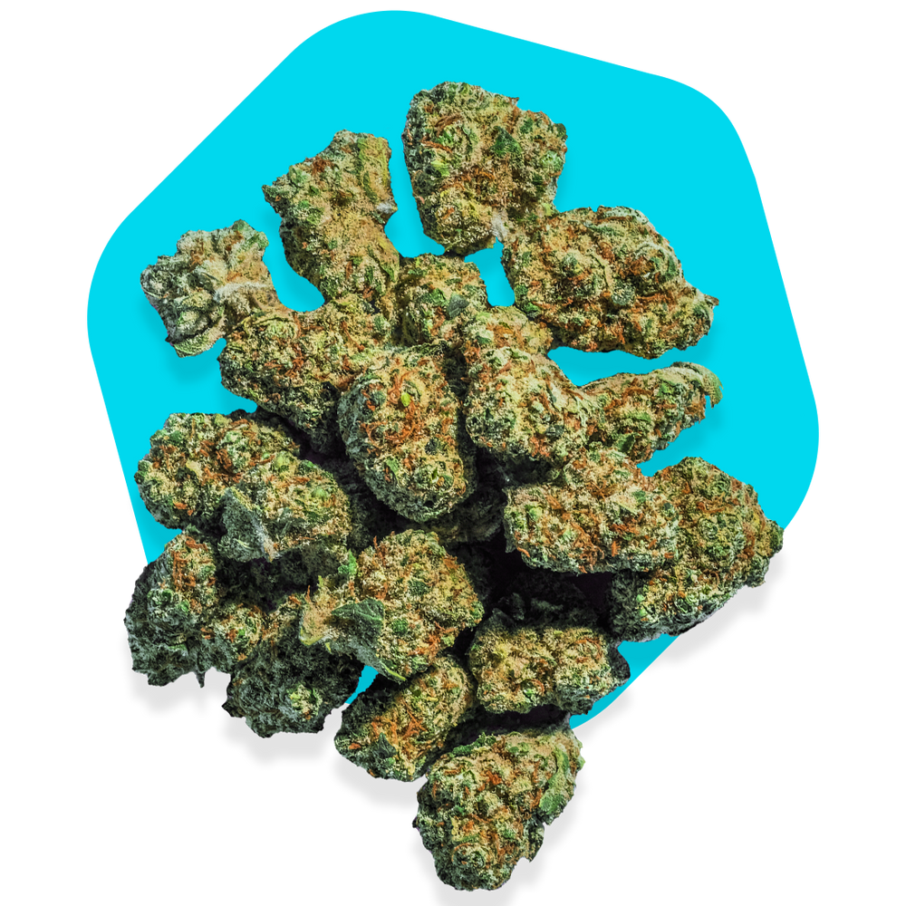 
            
                Load image into Gallery viewer, 😵🤪 Amnesia Small Buds
            
        