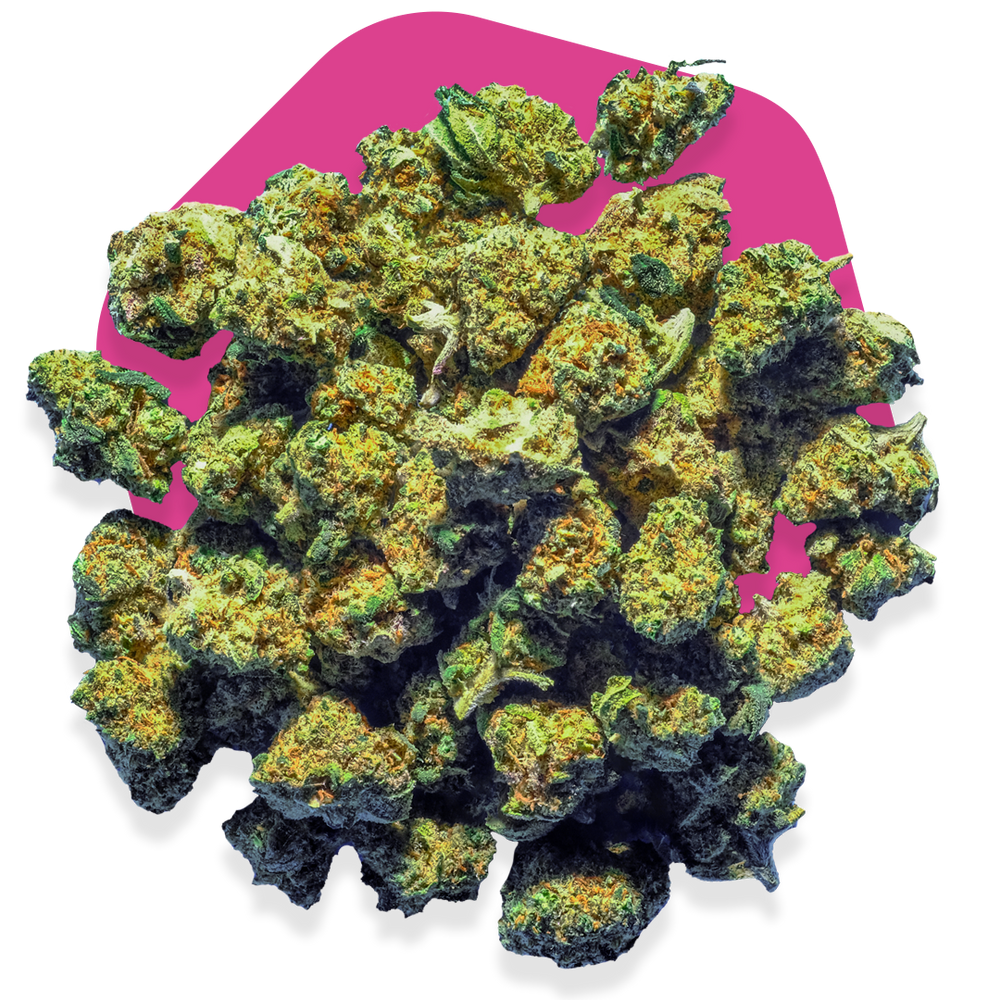 
            
                Charger l&amp;#39;image dans la galerie, 🍭☘️ Candy Kush Small Buds
            
        