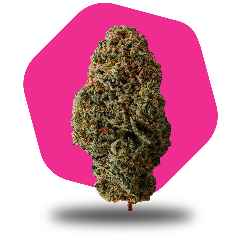 
            
                Load image into Gallery viewer, 🍭☘️ Candy Kush
            
        