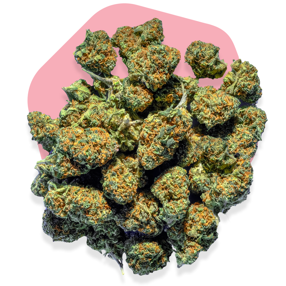
            
                Load image into Gallery viewer, 🍧🍨 Gelato Small Buds
            
        