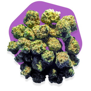 
            
                Load image into Gallery viewer, 👽🍪 Miracle Alien Cookie Small Buds
            
        